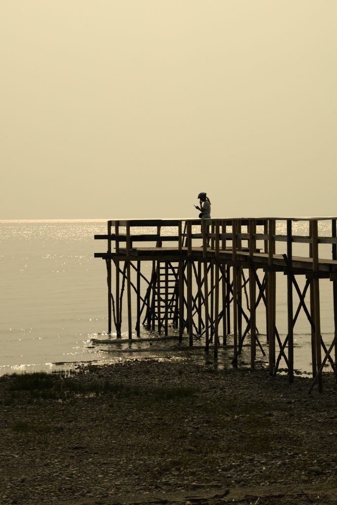 Phone Pier